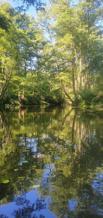 Domki Przy Obrze Skwierzyna Exteriér fotografie